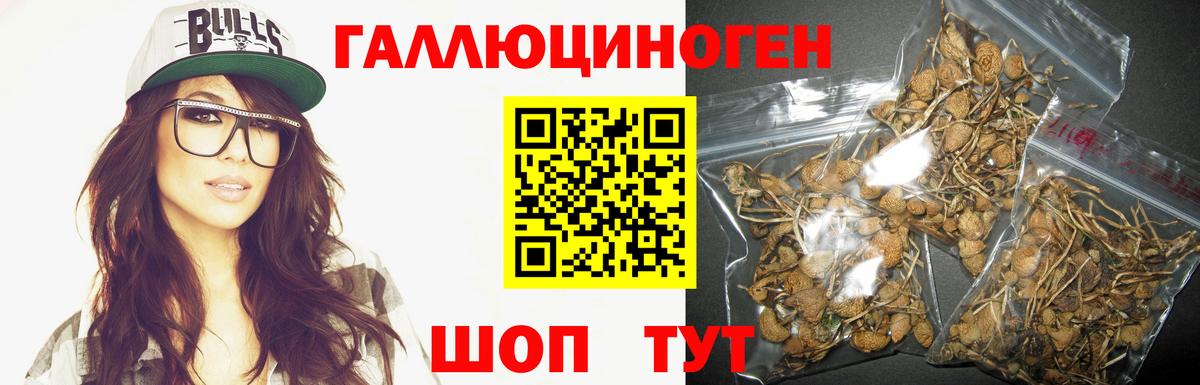 Галлюциногенные грибы прущие грибы Клин
